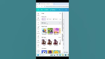 Quick & Easy Liquify Photo Effect in Canva | #Shorts #canva #tutorial #photoediting #liquify