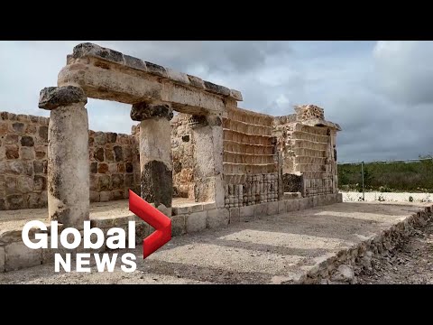 Video: Hoe een huis van een zaailing te laten groeien: Arboarchitectuur van de oudheid naar de toekomst