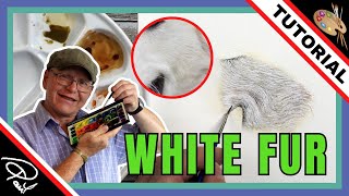 How to Paint WHITE FUR in Watercolour