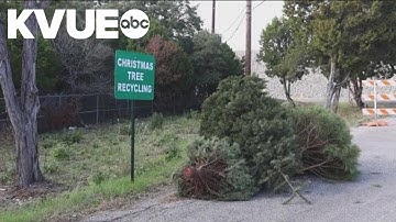 Christmas tree recycling begins around Austin