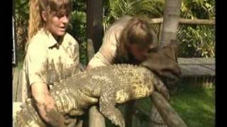 Steve Irwin - Most Dangerous Encounters (Part 4)