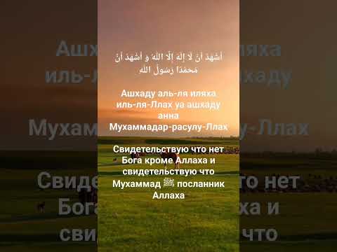 Свидетельство единобожия. #дуа #Ислам #Коран #Сунна #шахада