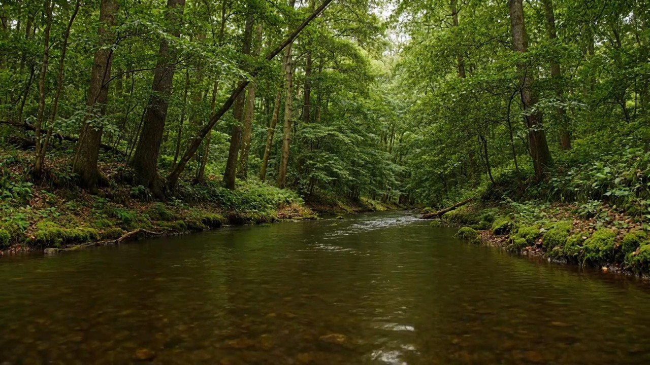 Ambient Study Music for Deep Focus and Productivity