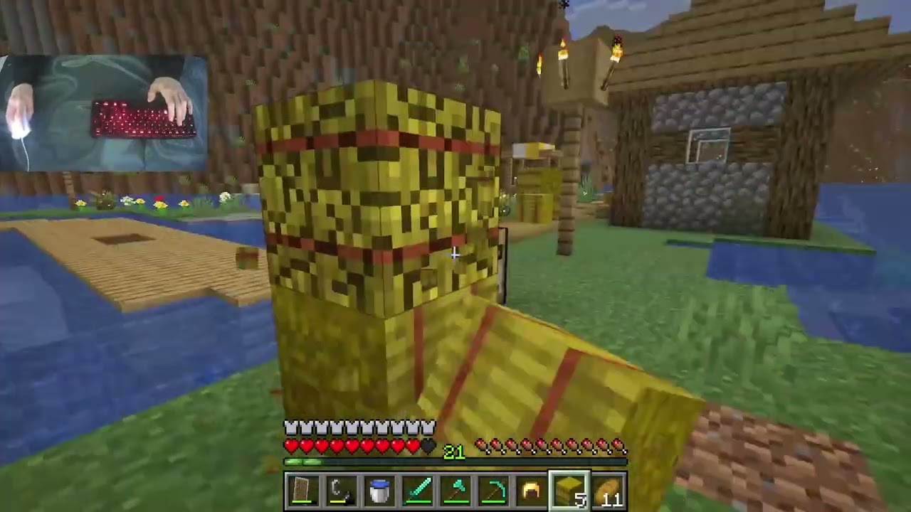 Meine Minecraft Zukunft