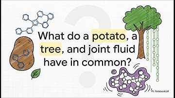 Biochemistry Revision: Key Polysaccharides You Must Know (Medical Student Guide)
