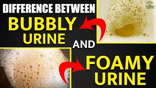 shorts Difference Between Bubbly Urine and Foamy Urine | Kidney Treatment In Ayurveda