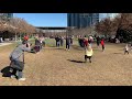 Flash Mob Proposal