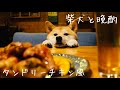 【柴犬と晩酌】手羽元のタンドリーチキン風とサーモンのテリーヌ