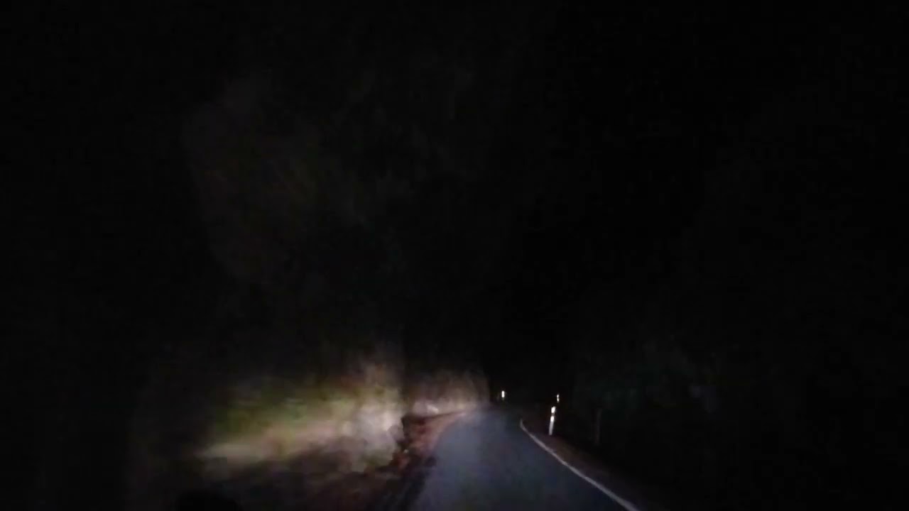NZ forest Night Drive 76 Return - Akatarawa Road Rambles