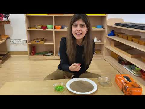 Peacocks teachers explain-