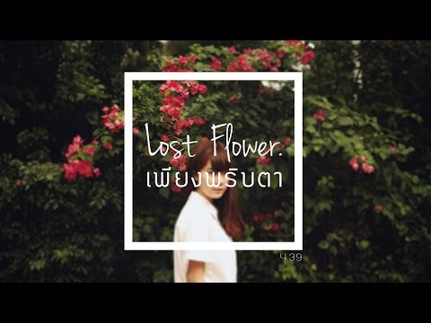 Lost Flower เพ ยงพร บตา Official Audio 