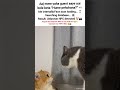 Unknown NPC Detected! 😂#Shorts#funnycats#NPC#relatable#indiameme#catmeme #trending#comedy#face-scan
