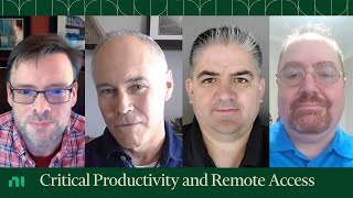 Virtual Panel   Critical Productivity and Remote Access