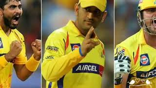 CSK TEAM GIF