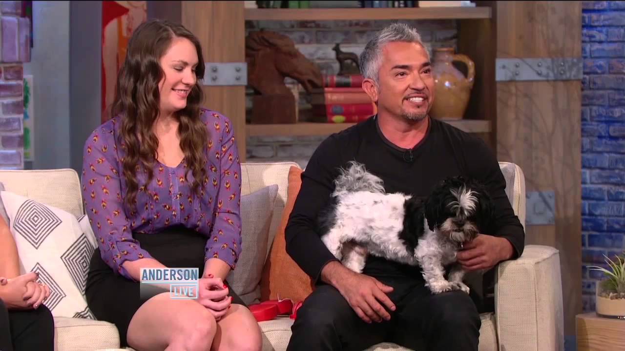 Dog Plays in Your Trash? Cesar Millan on How to Stop It