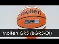 Molten GR5 (BGR5-OI)
