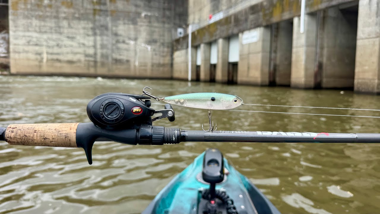 Tennessee Dam Top Water Fishing!!This bait Will Catch You Fish!!