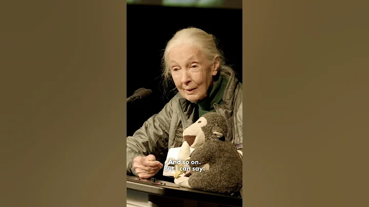 Dr. Jane Goodall says "good morning" in "chimpanzee"