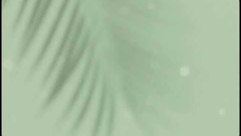 [R] palm leaf shadow (AOD_Live)