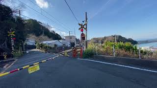 きのくに線223系普通和歌山行き　冷水浦〜加茂郷にて