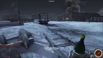 New weapons for RO2 thanks to the Immersion Overhaul Mod