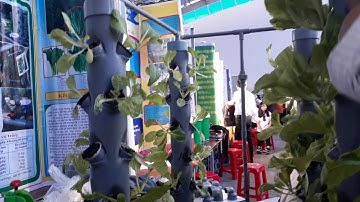 Một số mô hình khoa học kĩ thuật của học sinh trung học TP.Cần Thơ 2019