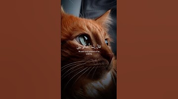 قال إنما أشكو بثي وحزني إلى الله | القارئ إسلام صبحي |قرآن كريم ..♡ #ارح_قلبك #قران_كريم