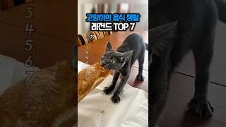 고양이의 음식 쟁탈 레전드 TOP 7