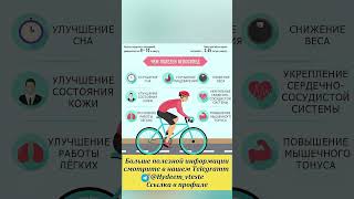 Чем полезен велосипед