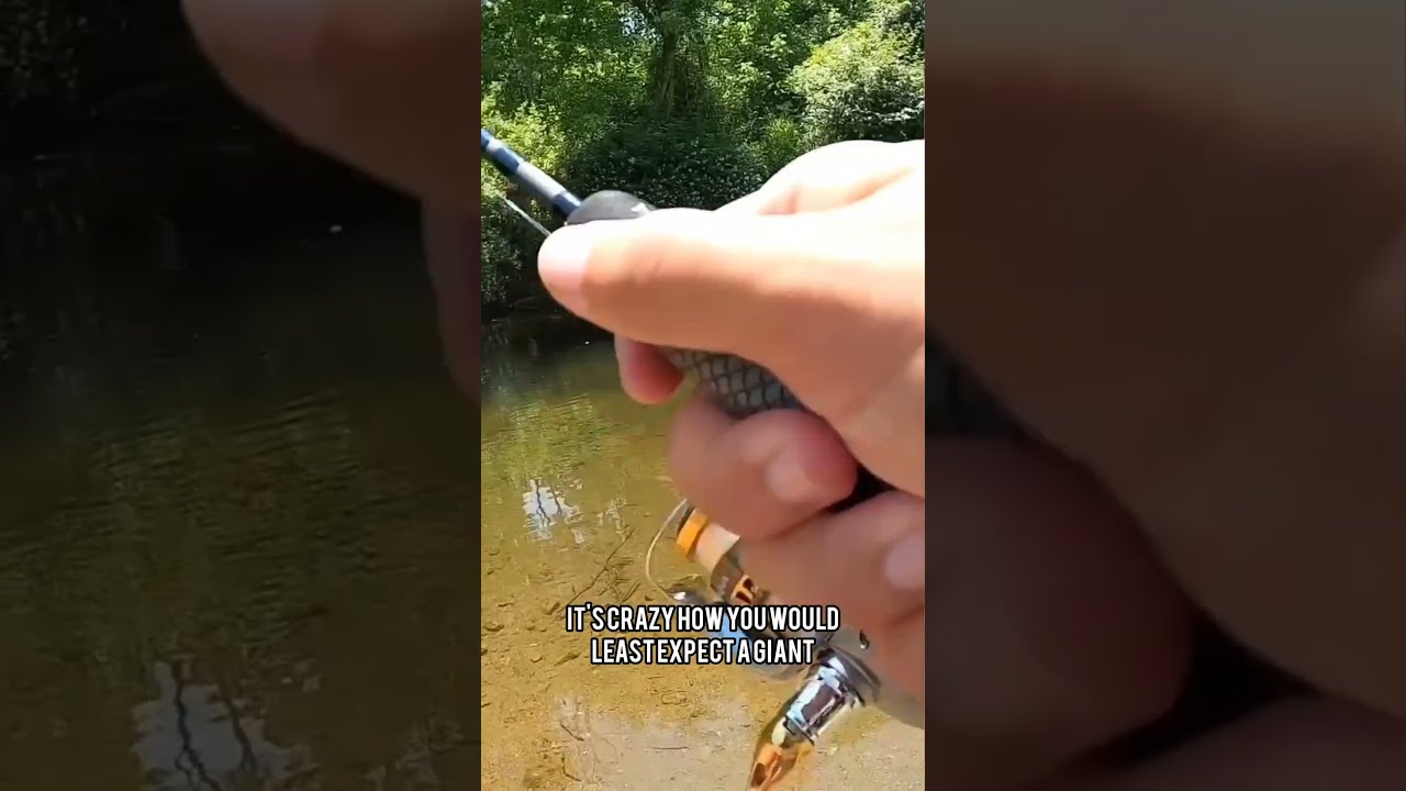 How The State Record Bass Was Caught In Pennsylvania! #shorts