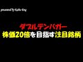 【ダブルテンバガーとなる可能性】株価20倍を目指す注目銘柄