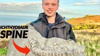 Dinosaur SPINE! Hunting an Ichthyosaur