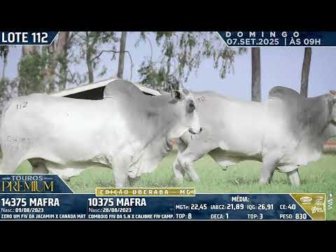 LOTE 112