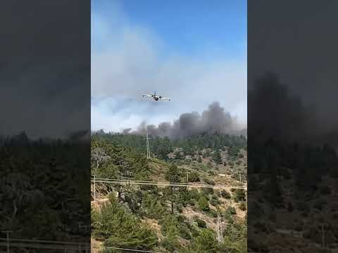 🎯Son dakika Muğla Datça da yangına havadan müdahale edilsede rüzgar çok şiddetli daha çok destek