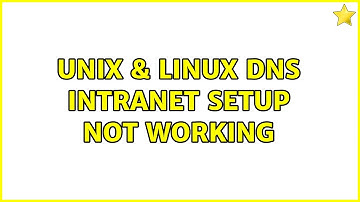 Unix & Linux: DNS intranet setup not working