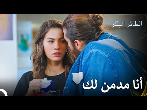 إذا اقتربت مني سأقبلك مسلسل الطائر المبكر الحلقة 