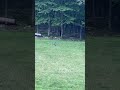 IMG 2732