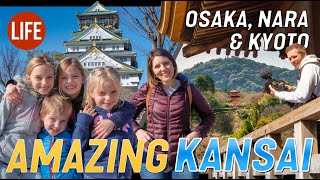 Amazing Kansai: Osaka, Nara and Kyoto | Life in Japan Episode 47