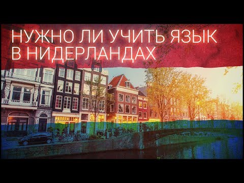 Нужно ли учить нидерландский язык? (в Нидерландах)