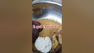 Đam Mê Câu Cá - Mồi câu cá trôi, chép, trắm, phi, trê, Hiệu Quả - Dễ làm #shorts