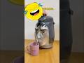 स्कूल में ये बोतल ले गए तो टीचर भी मांग लेंगी 🤣🔥  #smartgadgets #bottle