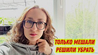 #111 Из Германии в Россию  / Пришло время убрать их. Фотограф приехал