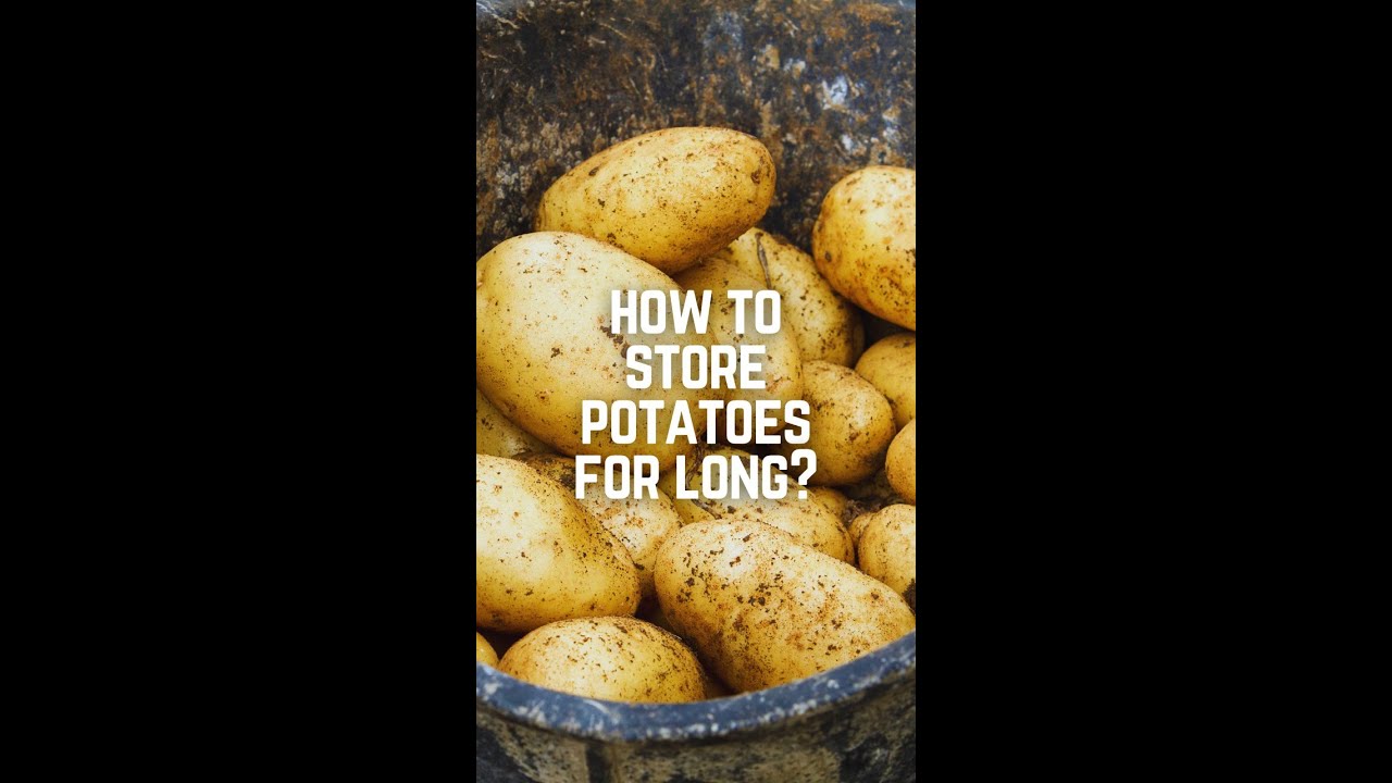 How to Store Potatoes at Home? | Everything you will want to know! | Kunal