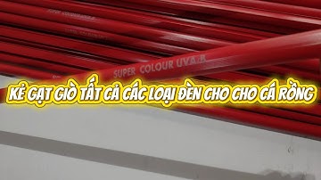 🔴ĐÈN R.D.I SUPER COLOR UVA/B CHUYÊN DỤNG CHO HUYẾT LONG | CHÍNH HÃNG PHUKIENCARONG.VN PHÂN PHỐI