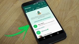 como salvar fotos e vídeos do status do whatsapp
