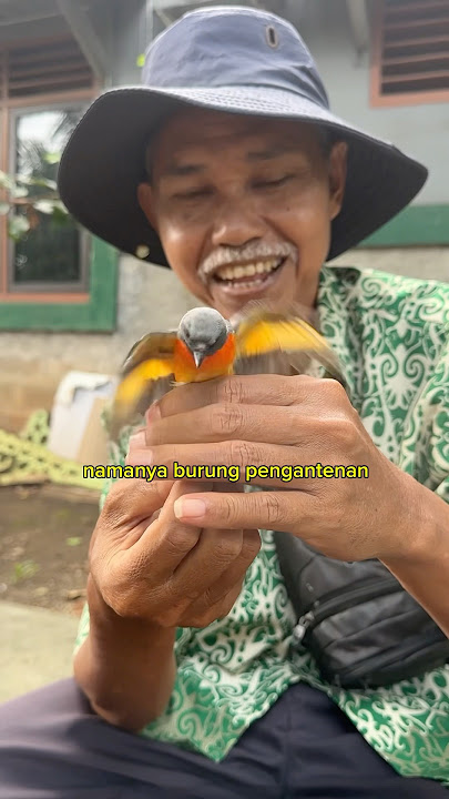 WHOLESALE BIRD PAK IDRIS WHO HAS BEEN SELLING SINCE SCHOOL