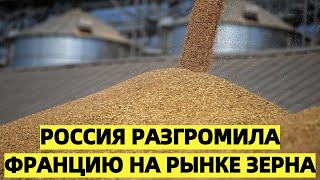 Россия разгромила Францию на рынке зерна