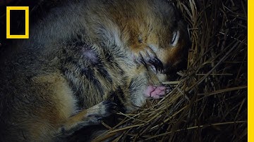 Marvels of an Arctic Winter | America