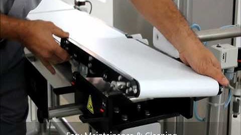 Online Dynamic Check Weighers