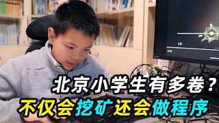 北京小学生有多内卷？不仅会挖矿，还拿到了中科院程序员一级证书！